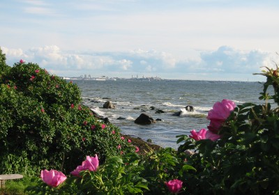 Bay of Tallinn