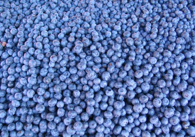 Blueberries on Market Square